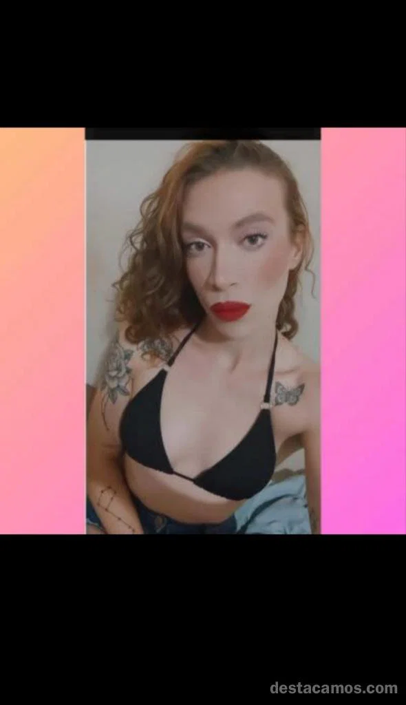 Videollamada x y venta de contenidos profile photo