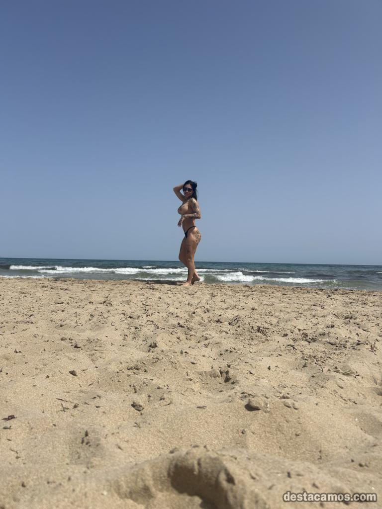 Novedad solo elche profile photo