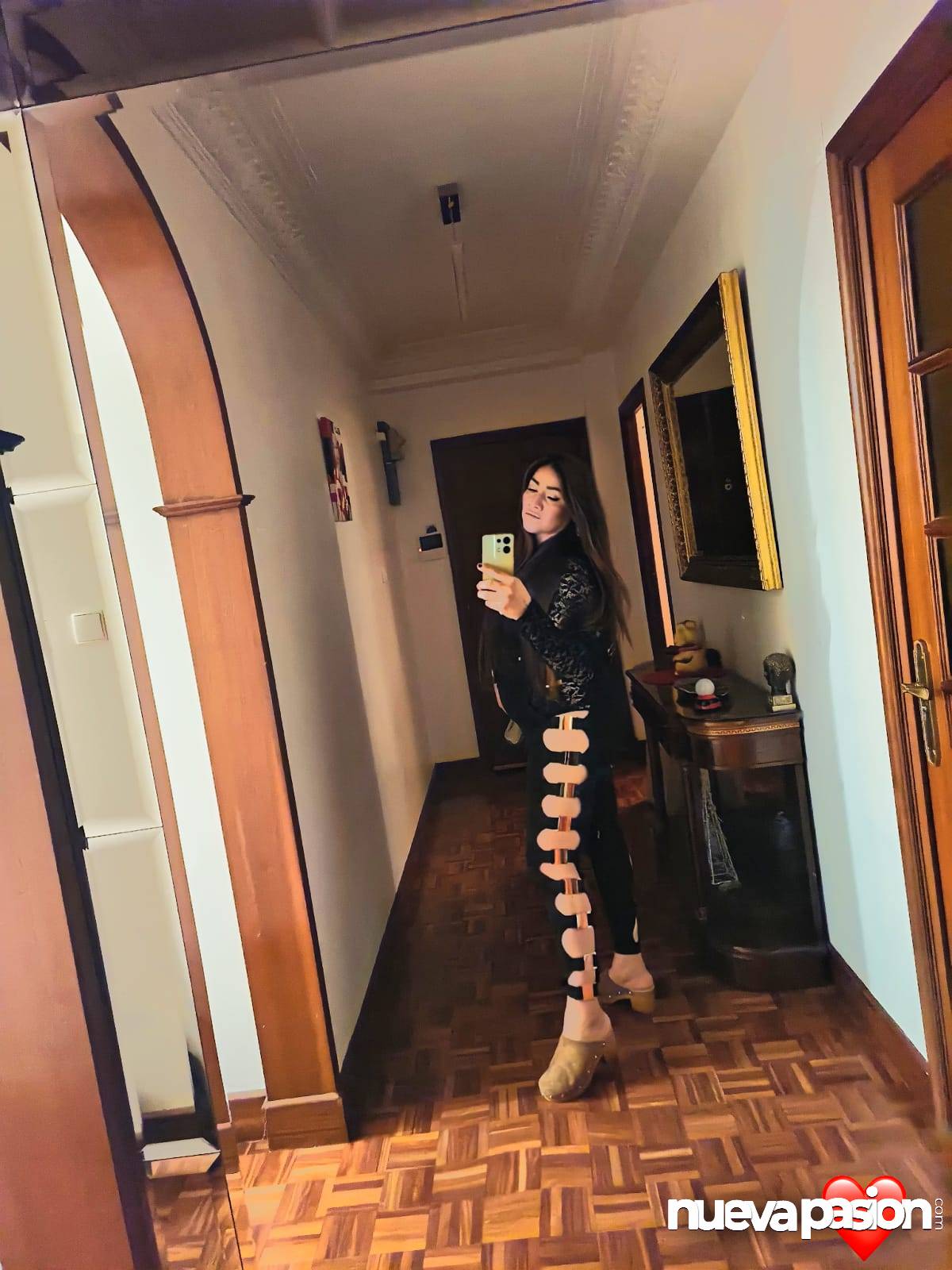 Trans Mexicana profile photo