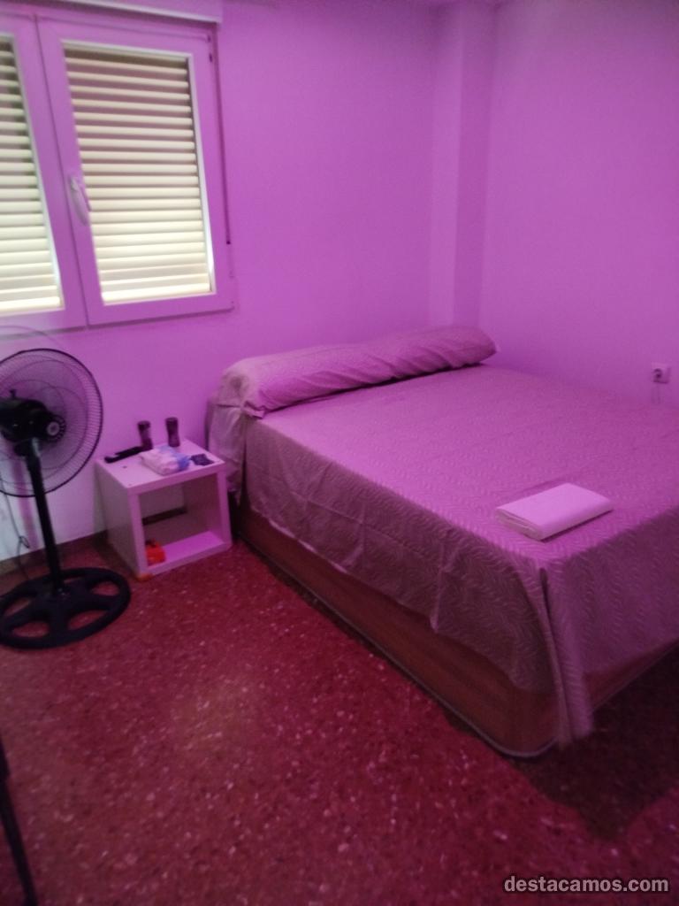 Habitación libre en el centro de Zaragoza. profile photo