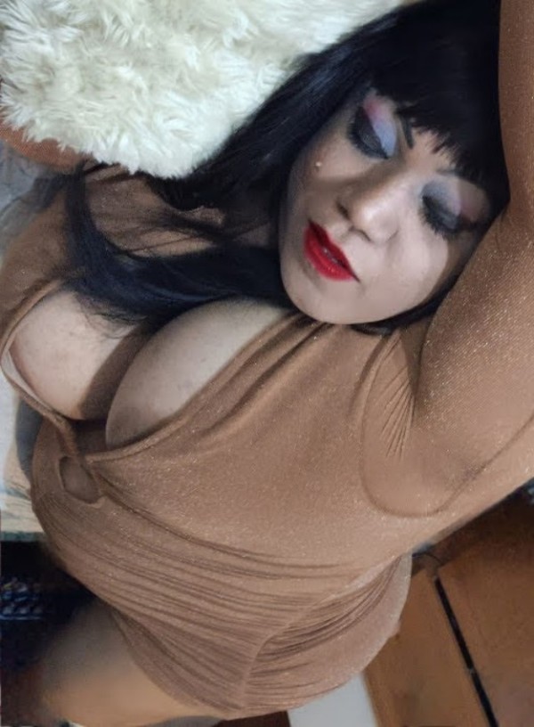 TRANS MADURITE SUPERNALGE TRAGONE ET TRÈS FIESTERE profile photo