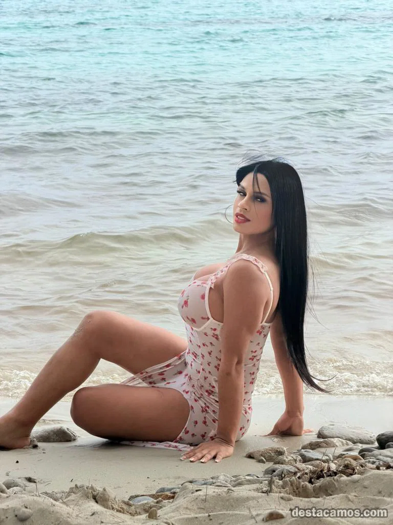 ALESKA TRANS NOVEDAD PALMA DE MALLORCA profile photo