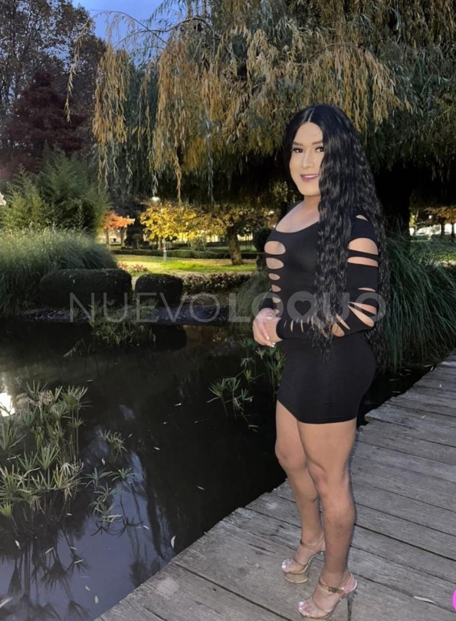 PRECIOSA TRANS CON CUERPO ANGELICAL profile photo