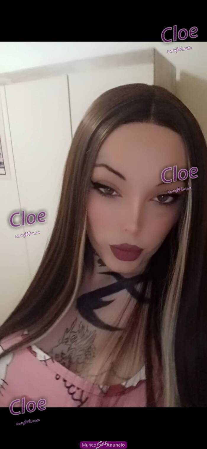 CLOE TRANS FEMENINA ESPAÑOLA IMPLICADA profile photo