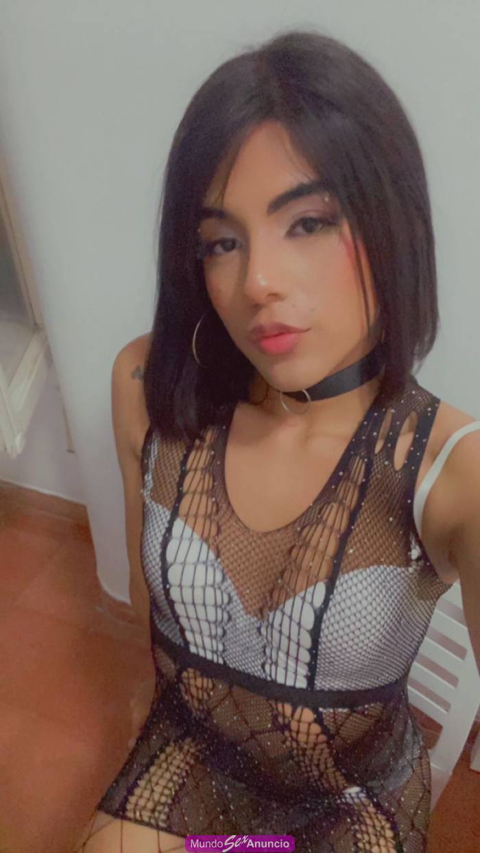 TRANS CACHONDA CON GANAS DE POLLA DURA! profile photo