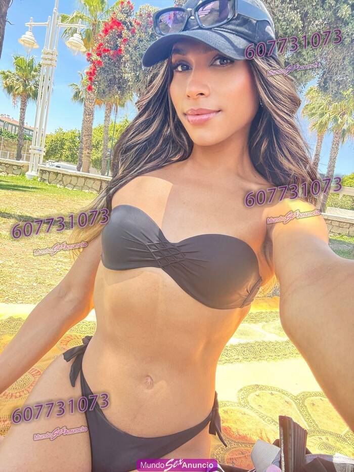CAMMI exclusiva Trans Latina VIP buena dotación profile photo