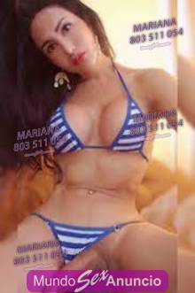 Bella chica trans profile photo