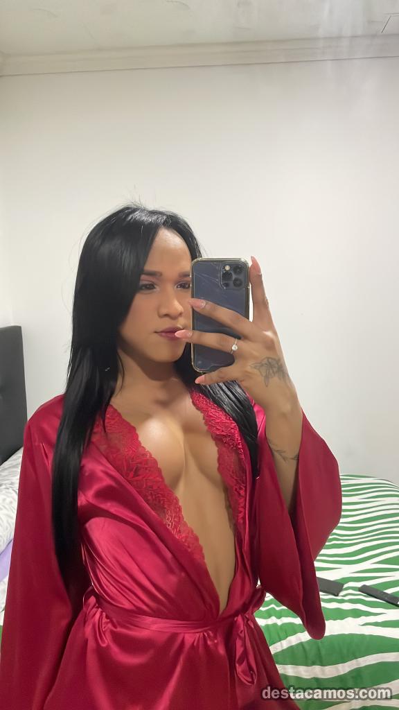 EN ZAIDIN CHICA TRANS DIOSA SOY TODO LO QUE TU NECESITAS VEN A VERME profile photo