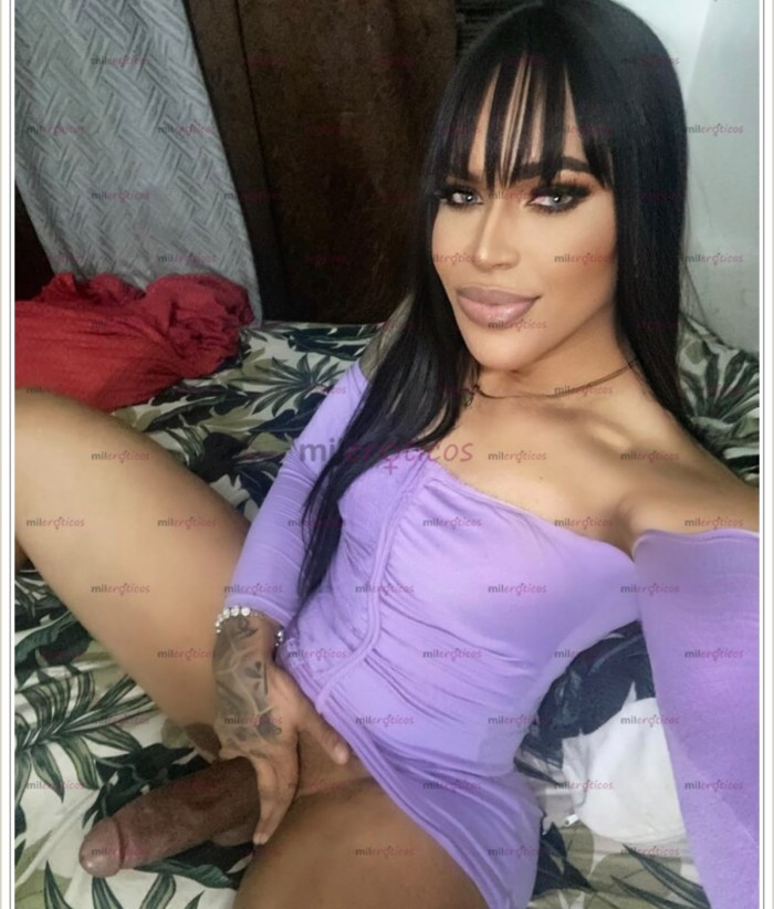 NOVEDAD FIESTERA 24 HORAS profile photo