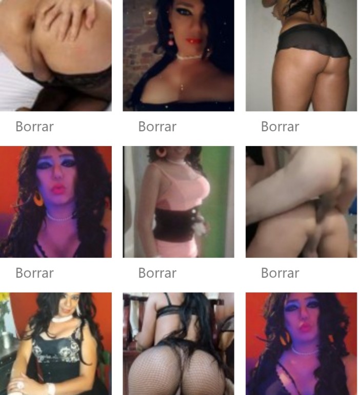 MADAJE Y SEX RELAX AL NATURAL TRAVESTY WAPA TRAGO profile photo