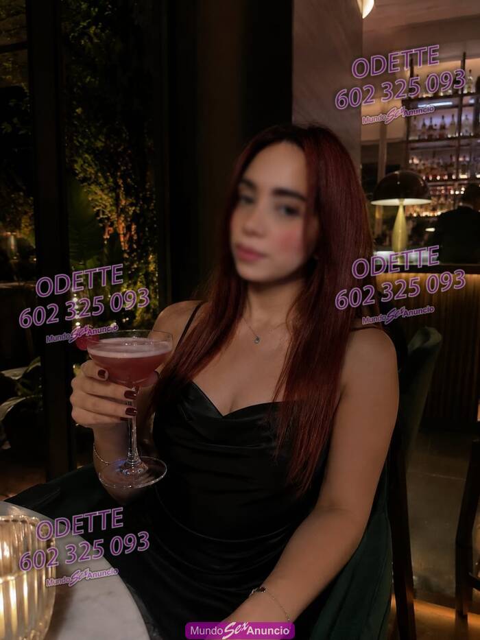SALIDAS PRIVADAS EN BENIDORM profile photo