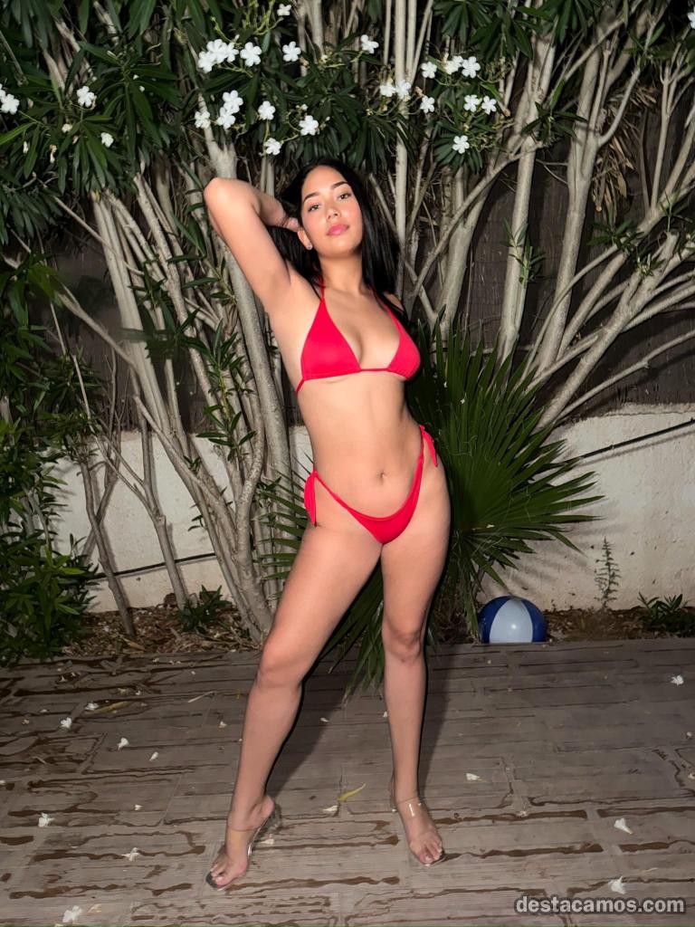 NUEVA EN LA ISLA LISTA PARA CONOCERTE profile photo