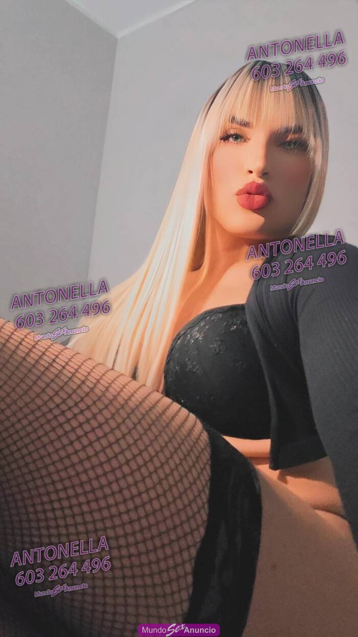 Antonella Rubia Muñeca Latina profile photo