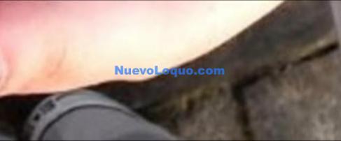 Chico de compañía profile photo